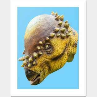 Pachycephalosaurus head Posters and Art